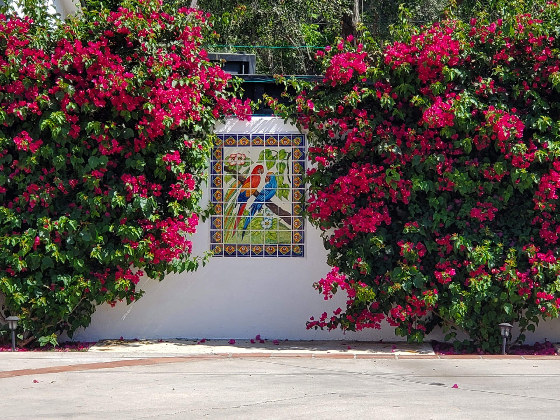 Assisted living tarzana