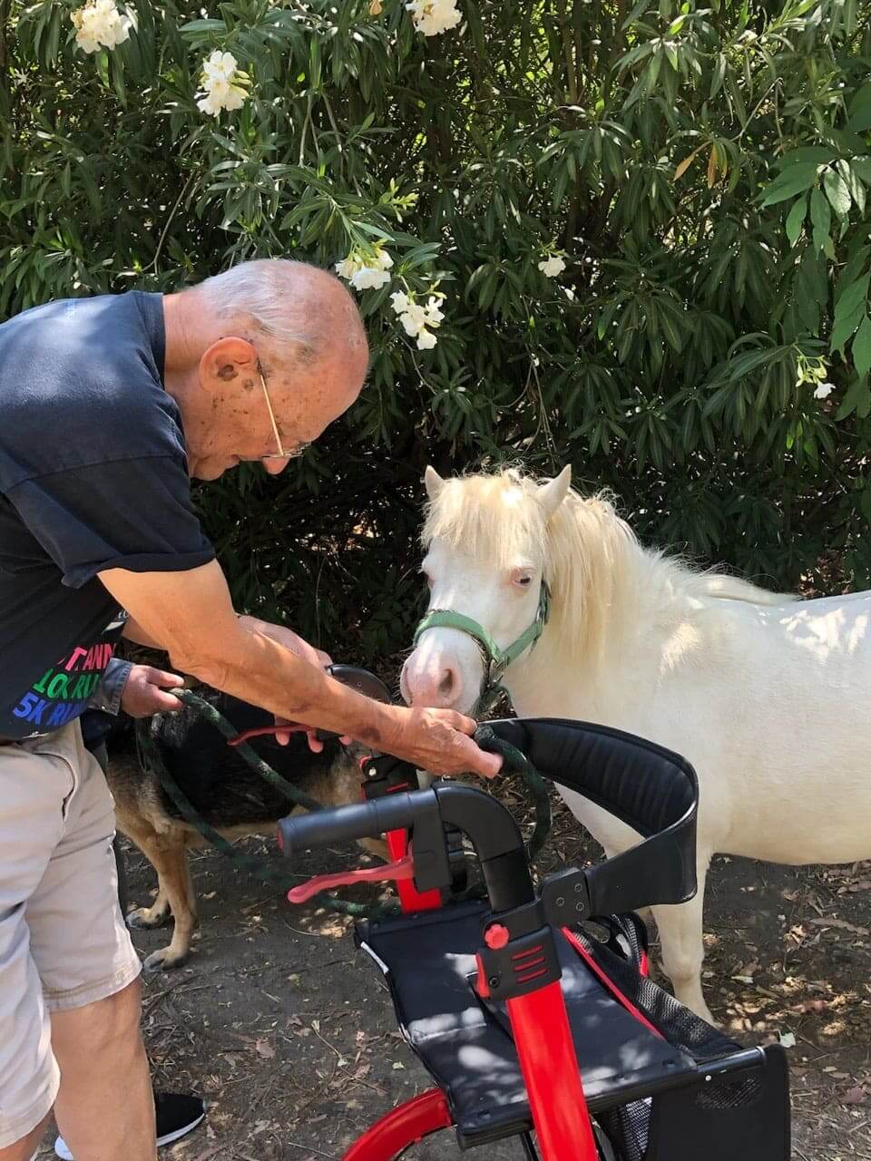 Royal Garden Board & Care Homes pony and resident