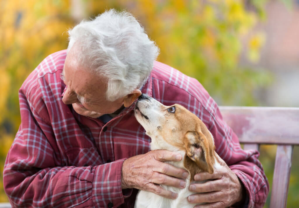 companion pets for seniors